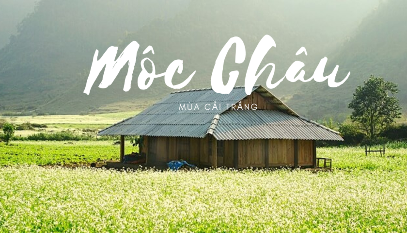 Tour Hà Nội - Mộc Châu 2N1Đ 